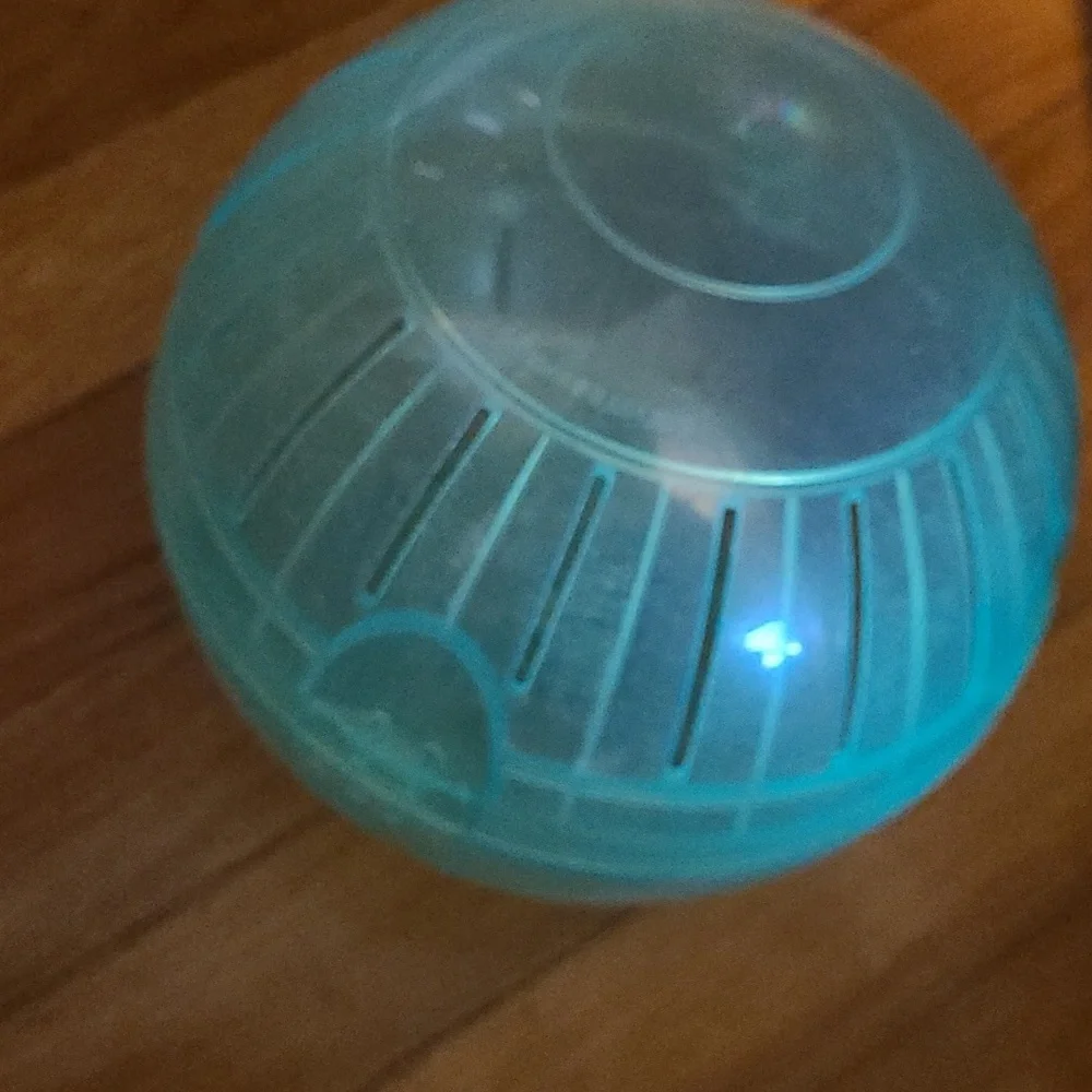 Hamster ball & water bottle
